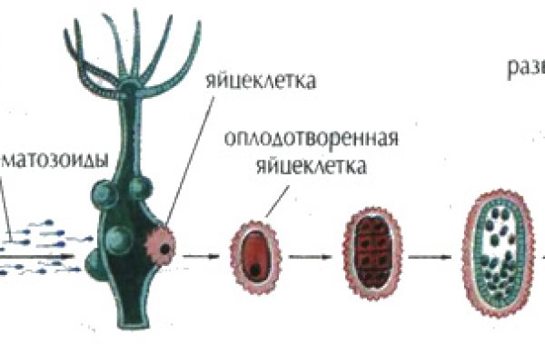 Omg na ссылка